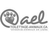 SEO Toilettage animaux