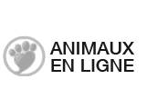 SEO Référencement ANIMALERIE
